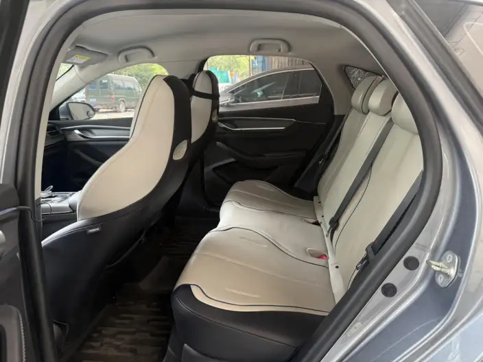 BYD Destroyer 05 2024 Model Honor Edition DM-i 55KM Luxury Model – фото 9