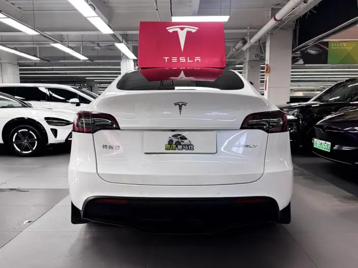 Model Y 2022 Model Facelift Long Battery Life Pro All-wheel drive version – фото 6