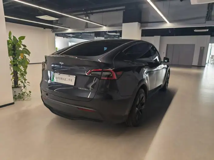 Model Y 2024 Model Rear-wheel drive version – фото 5