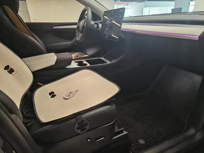 Model Y 2024 Model Rear-wheel drive version – фото 7