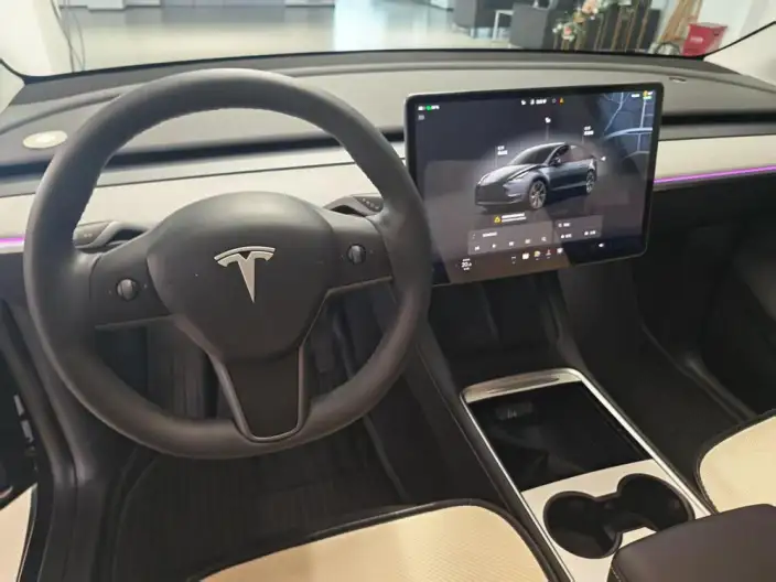 Model Y 2024 Model Rear-wheel drive version – фото 10