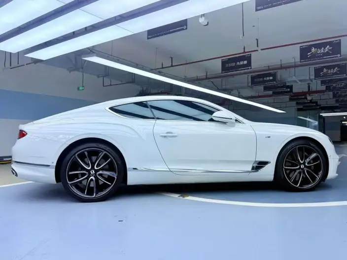 Continental 2020 Model 4.0T GT V8 – фото 5
