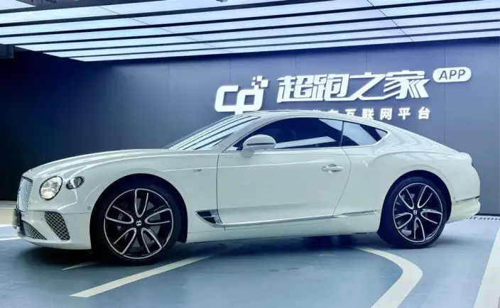 Continental 2020 Model 4.0T GT V8 – фото 8