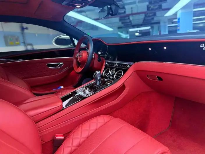 Continental 2020 Model 4.0T GT V8 – фото 9