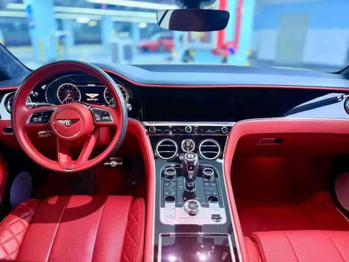 Continental 2020 Model 4.0T GT V8 – фото 10