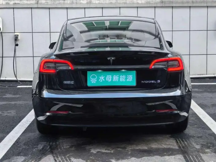 Model 3 2022 Model Rear-wheel drive version – фото 5