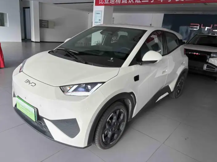 BYD Seagull 2025 Model Smart Driving Edition 305KM Free Edition