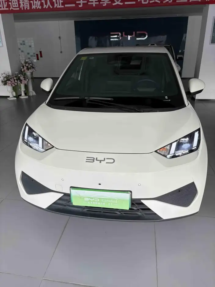 BYD Seagull 2025 Model Smart Driving Edition 305KM Free Edition