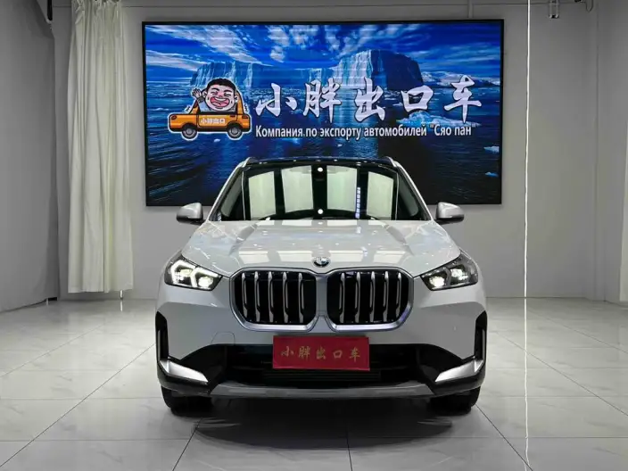BMW X1 2023 Model sDrive20Li X Design Set – фото 2