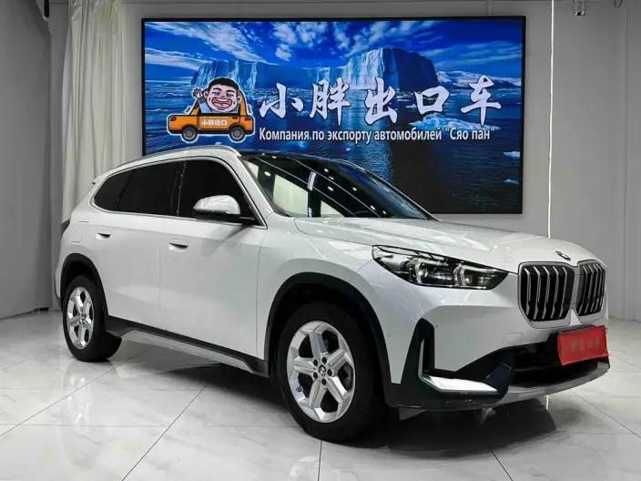 BMW X1 2023 Model sDrive20Li X Design Set – фото 3