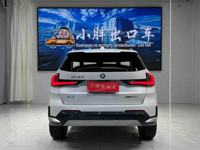 BMW X1 2023 Model sDrive20Li X Design Set – фото 5
