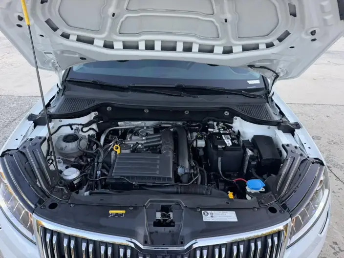 Karoq 2023 Model TSI280 Exclusive Edition – фото 7