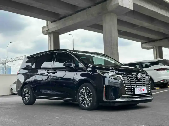 Buick GL8 2023 Model ES Luzun 2.0T Flagship Model – фото 3
