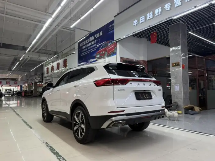 Haval H6 2023 Model Guo Trendy Edition 1.5T Automatic Champion Edition – фото 4