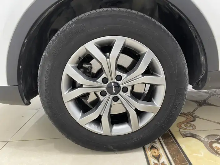 Haval H6 2021 Model Guo Trendy Edition 1.5T Automatic Champion Edition – фото 7
