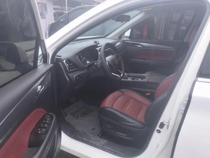 GAC Trumpchi GS4 PLUS 2022 Model 270T Automatic Xingchen Edition – фото 9