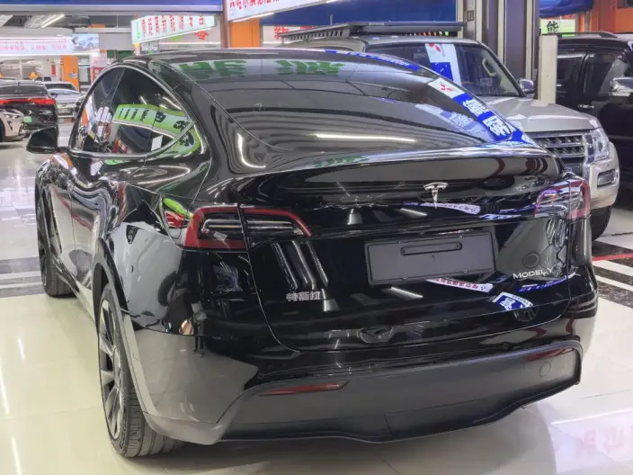 Model Y 2023 Model Rear-wheel drive version – фото 8