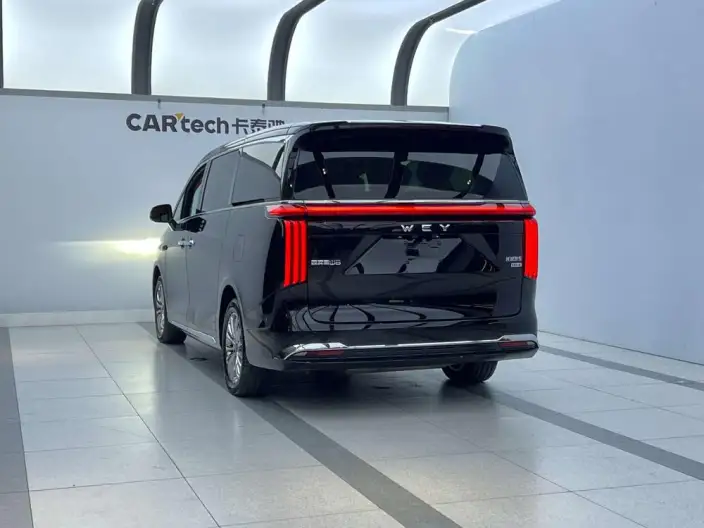 Wey Gaoshan P HEV 2025 Model 4WD Wey Gaoshan 8