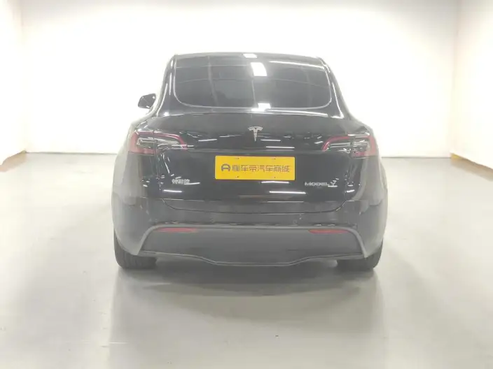 Model Y 2023 Model Rear-wheel drive version – фото 6
