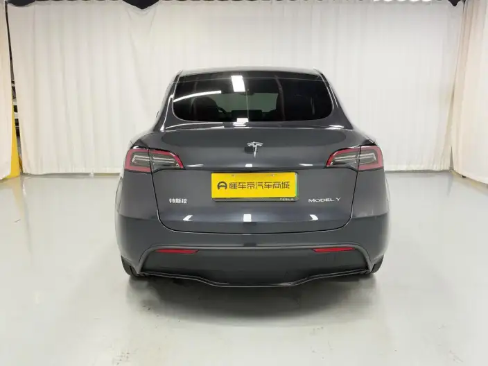 Model Y 2024 Model Rear-wheel drive version – фото 6