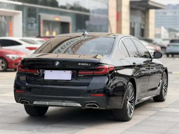 BMW 5 Series 2023 Model Facelift 530Li Leading Model M Sports Set – фото 6