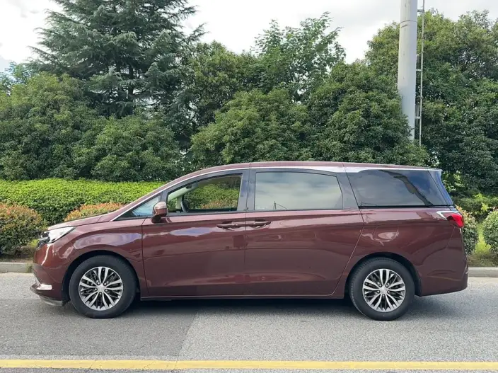 Buick GL8 2022 Model ES Luzun 653T Exclusive Model – фото 4