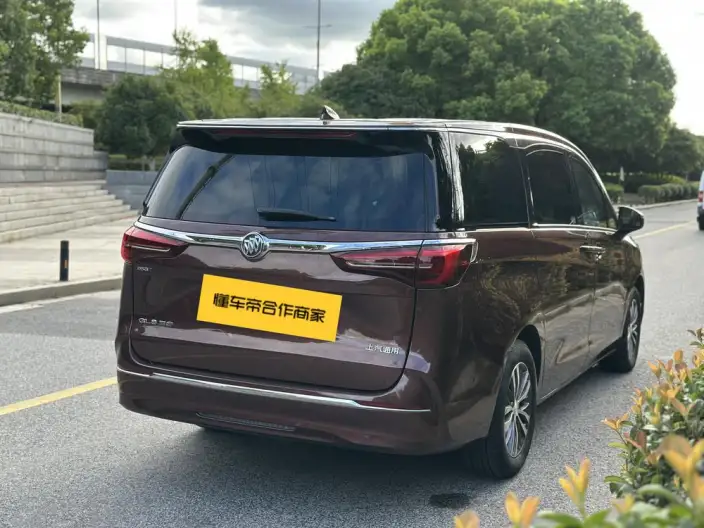 Buick GL8 2022 Model ES Luzun 653T Exclusive Model – фото 7