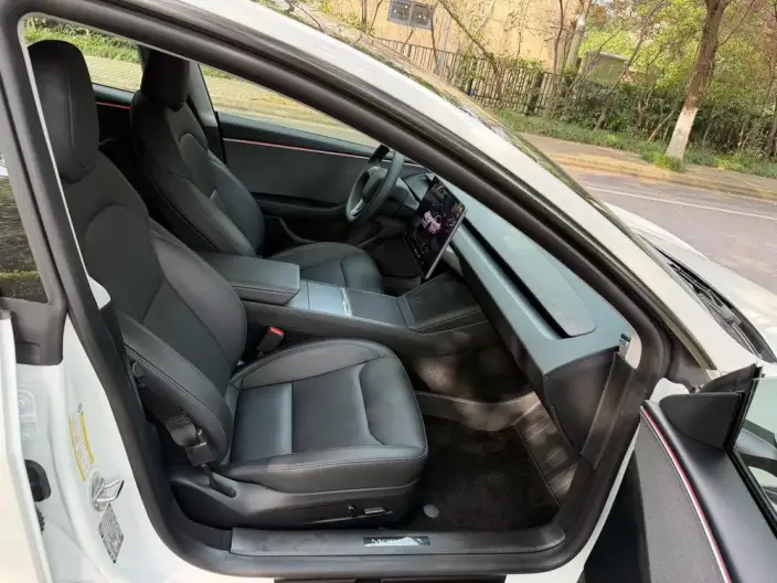 Model 3 2025 Model Rear-wheel drive version – фото 8