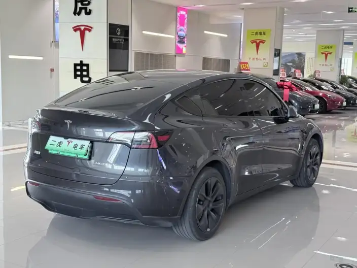 Model Y 2024 Model Rear-wheel drive version – фото 6
