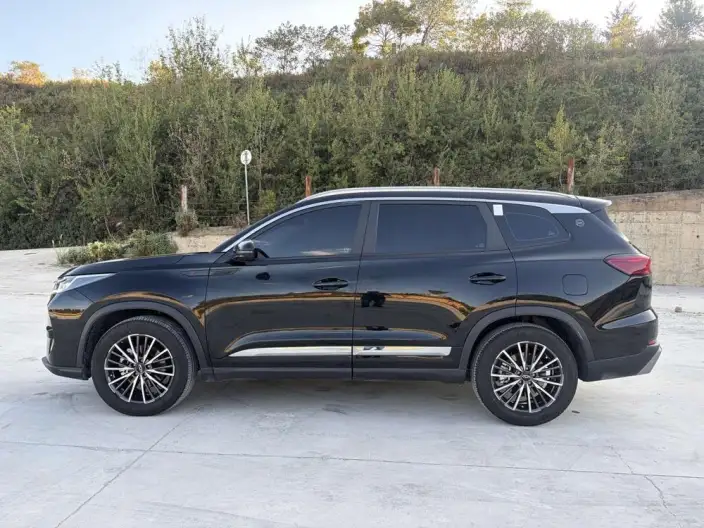 Chery Tiggo 8 PRO 2025 Model 290T 2WD Deluxe Edition
