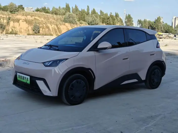 BYD Seagull 2024 Model Honor Edition 305KM Vitality Edition – фото 1
