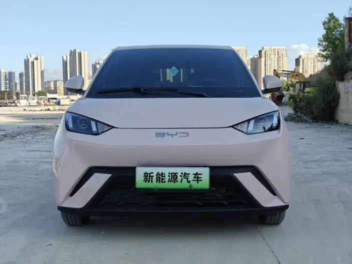 BYD Seagull 2024 Model Honor Edition 305KM Vitality Edition – фото 2