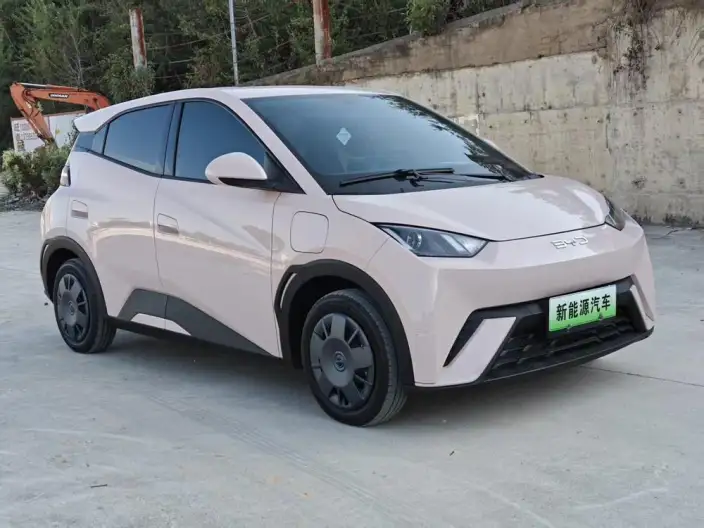 BYD Seagull 2024 Model Honor Edition 305KM Vitality Edition – фото 3