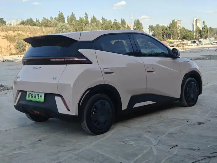 BYD Seagull 2024 Model Honor Edition 305KM Vitality Edition – фото 6