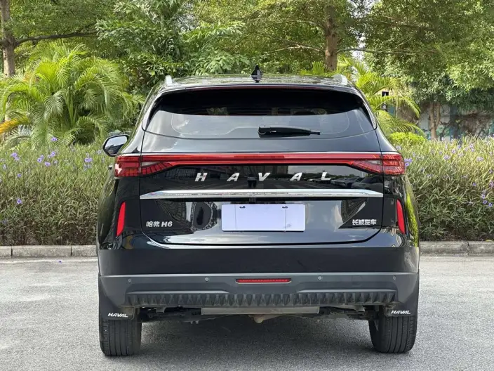 Haval H6 2024 Model 1.5T Automatic 2WD Classic Edition – фото 5