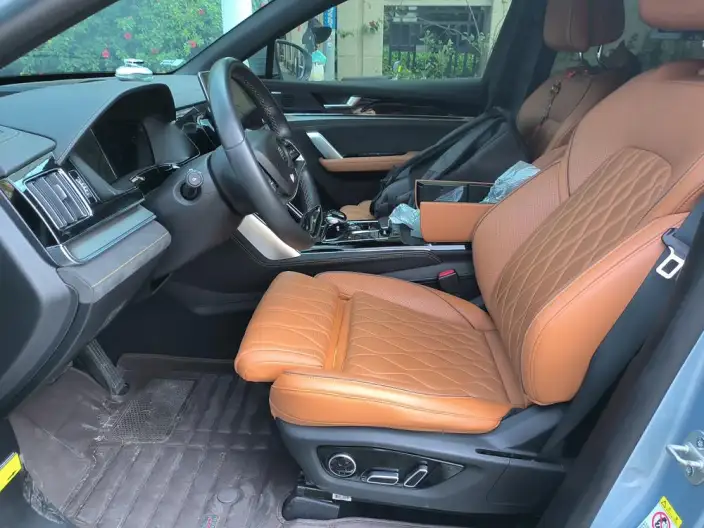 BYD Tang DM 2023 Model DM-i Champion Edition 112KM Exclusive Model – фото 10