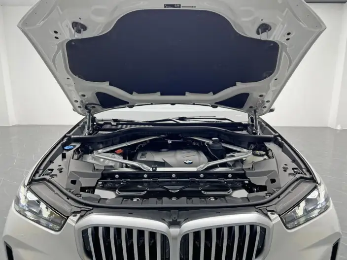 BMW X5 2023 Model xDrive30Li Exclusive Model M Sports Night Set – фото 10