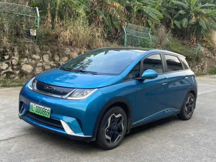 BYD Dolphin 2021 Model Fashion Edition – фото 1