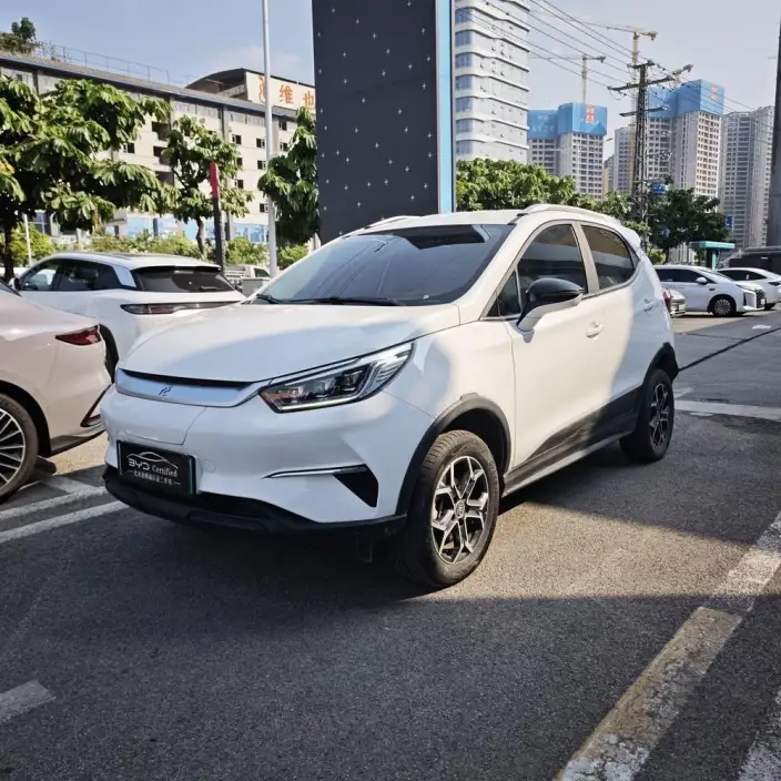 Yuan Pro 2023 Model 401KM Luxury Model – фото 1