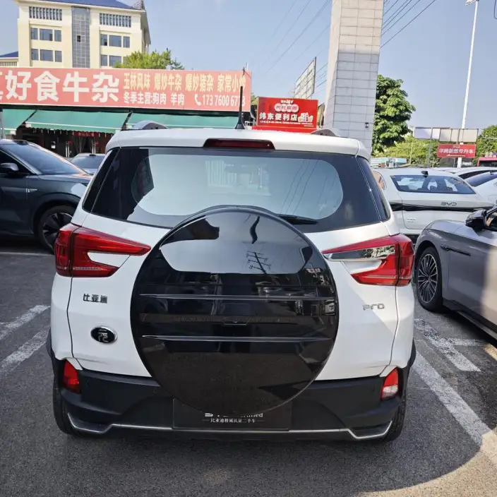 Yuan Pro 2023 Model 401KM Luxury Model – фото 4