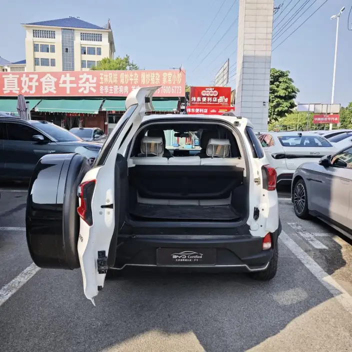 Yuan Pro 2023 Model 401KM Luxury Model – фото 7