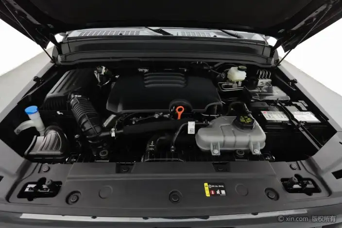 Tank 300 2025 Model 2.0T Gasoline Edition Challenger – фото 5