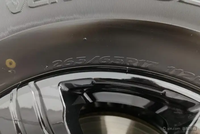 Tank 300 2025 Model 2.0T Gasoline Edition Challenger – фото 7