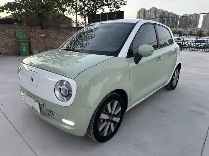 ORA Black Cat 2022 Model 351km Standard Model Ternary lithium