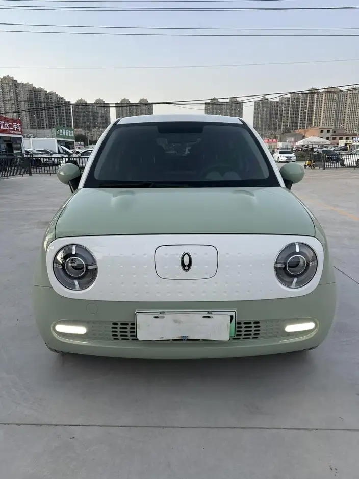 ORA Black Cat 2022 Model 351km Standard Model Ternary lithium