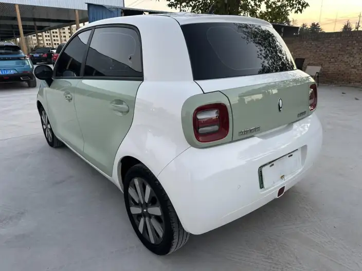 ORA Black Cat 2022 Model 351km Standard Model Ternary lithium