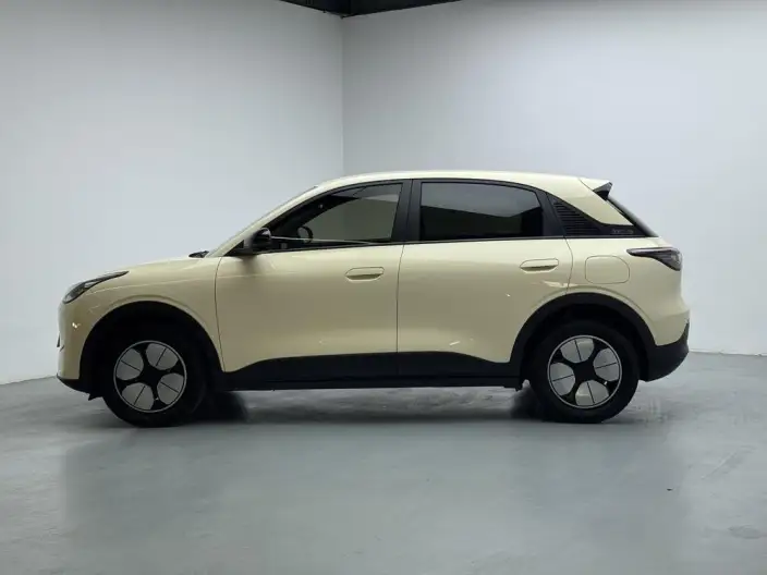 Geely Galaxy StarWish 2025 Model 310km Youth Edition