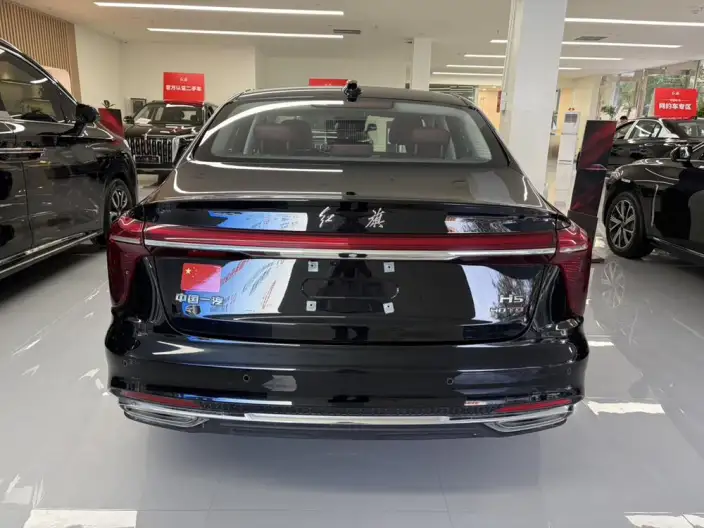 Hongqi H5 2025 Model 2.0T Automatic Flag Enjoy Edition – фото 5
