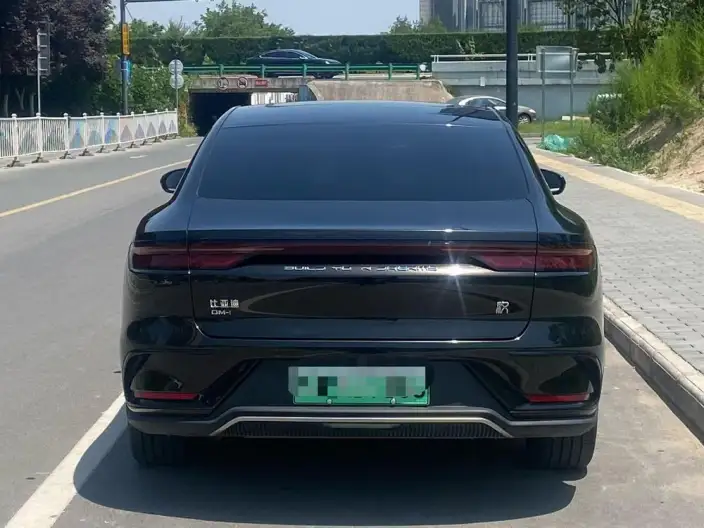 BYD Han DM 2024 Model DM-i Honor Edition 121KM Elite Model – фото 5