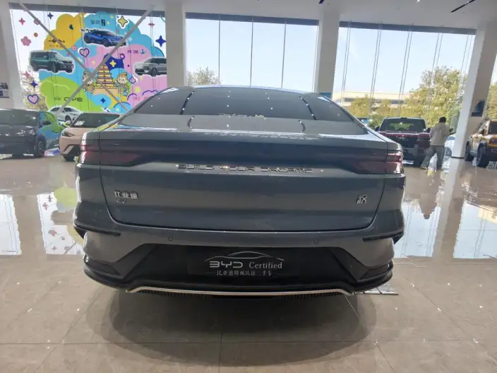 BYD Han EV 2023 Model Champion Edition 605KM Noble Model – фото 6